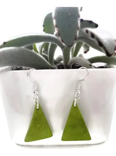 Pendientes De Tagua En Verde Lima Tag261, Pendientes De Nuez