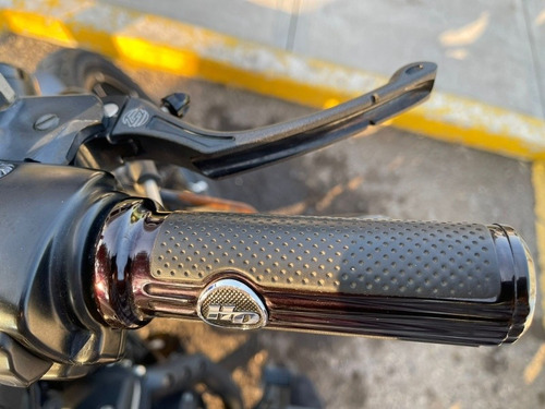 Imagen 10 de 15 de Harley Davidson Sporster Iron 883