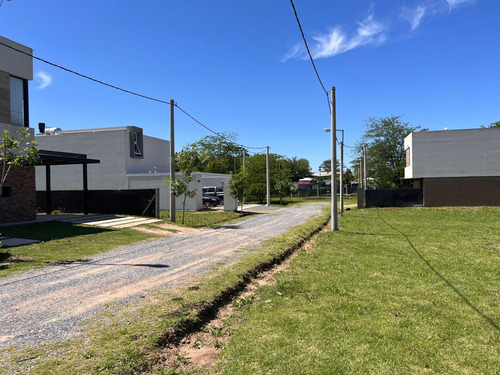 Lotes En Venta Calle 42 Y 149, San Carlos I Barrio Liquidámbar