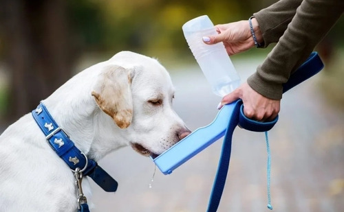 Bebedero De Agua Botella Portatil Para Mascotas Perro Gato