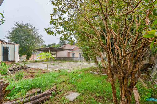 Imagem 5 de 8 de Terreno - Residencial - 933627