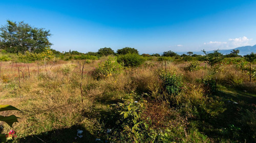 Garden House En Venta En Ajijic, Jalisco.