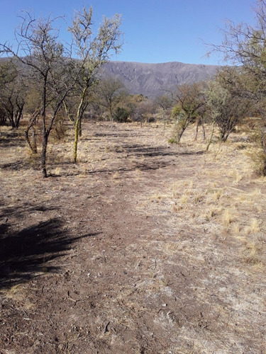 Imagen 16 de 17 de Chacra Rural Con Galpon
