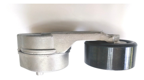 Imagen 6 de 7 de Kit Correa Y Tensor Poly V Chevrolet S10 2.8 Mwm