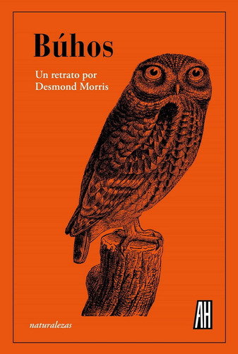 Buhos Un Retrato Por Desmond Morris, De Morris, Desmond. Editorial Adriana Hidalgo Editora, Tapa Dura, Edición 1 En Español, 2021