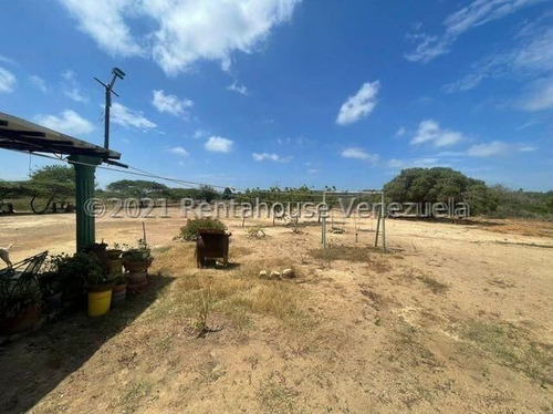 Imagen 9 de 15 de Casa De Campo En Venta Ubicada En Pueblo Nuevo. Paraguana