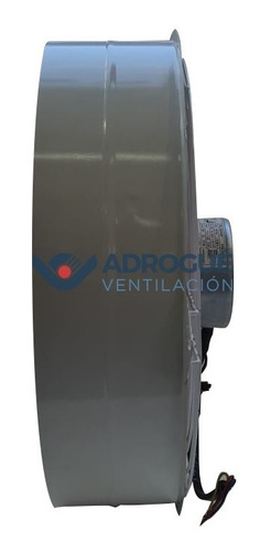 Imagen 3 de 10 de Extractor Industrial 30 Cm Reversible Ruleman Pala Metálica