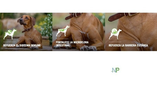 Imagen 3 de 6 de Alimento Perro Adulto Purina Proplan Large 15kg. Np