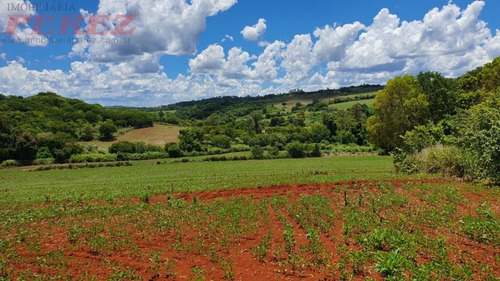 Chácaras_sítios_fazendas Para Venda - 13650.7652