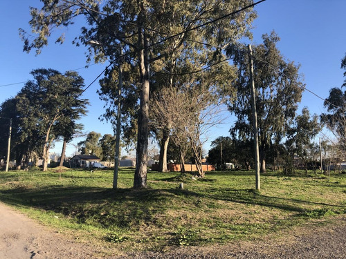 Imagen 6 de 9 de Terreno - Longchamps