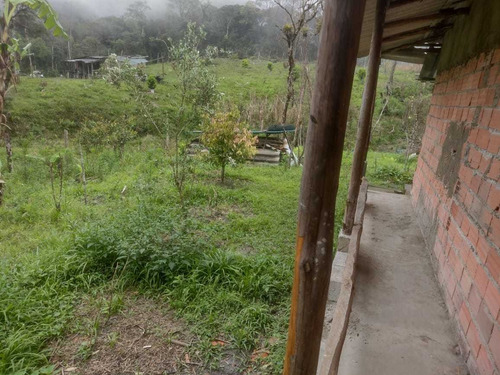 Imagem 5 de 7 de Juquitiba/sitio C/casa Simples/nascente/riacho/ref:5291