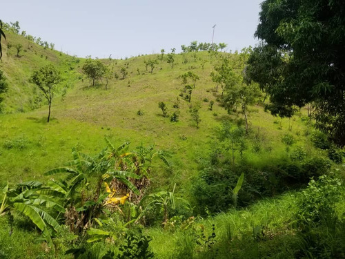 Imagen 1 de 12 de Vendo O Cambio Terreno Con Casa Cercada