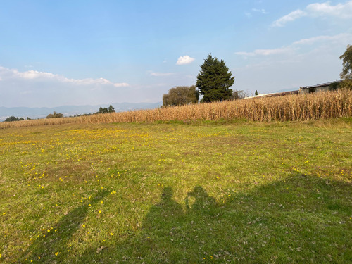 Terreno En Venta En Colonia San Nicolás Tolentino, Toluca, Estado De México
