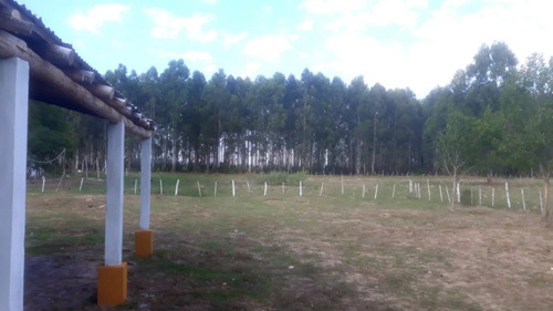 Imagen 11 de 26 de Vendo Chacra De 15 Has. Con Casa De Campo Muy Cerca Del Centro De Esquina, Corrientes!!!!!!