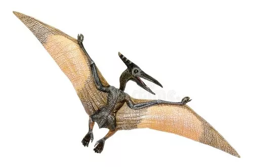 Pterodáctilo Dinossauro Brinquedos Jurássico Pteranodon Estatueta de  Dinossauro Pterodáctil Realista Ornamentos para Crianças Meninos Meninas e  Dino Colecionadores Presentes : : Brinquedos e Jogos