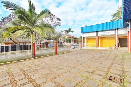 Loja Em Teresópolis - Bt9243