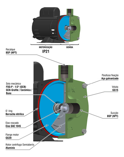 Motobomba Centrífuga Água Limpa Fsg-p 1cv Motor Weg Famac