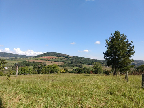 Chácara 15.600 M² - Lomba Grande - Novo Hamburgo - Rs - 2114 - 33889629