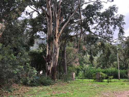 Terreno 4000 M2 En Venta En Villa Elena - Cortaderas