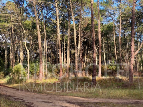 Lote En Carilo Barrio Zorzal Con Proyecto Y Planos Aprobados