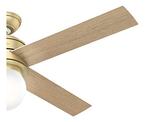 Hunter Fan Company, Ventilador De Techo Moderno Hepburn De L