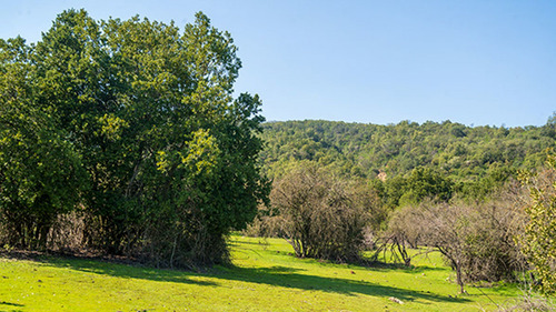 Imagen 9 de 20 de Lomas De Huemul