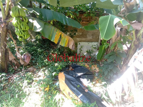 Imagem 7 de 16 de Terreno - Te00005 - 70482597
