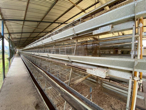 Imagen 6 de 14 de Granja En Venta En Valencia