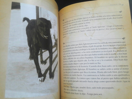 Hernan Rivera Letelier - Mantos Blancos . Dedicado Hernan Rl (Usado)