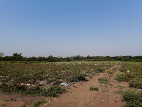 Hectáreas En Venta Veracruz Localidad El Pando, Veracruz.