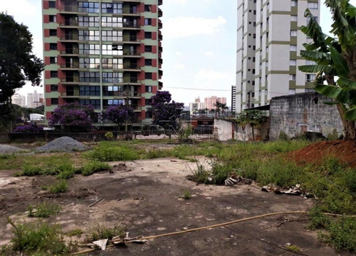 Imagem 6 de 6 de Terreno - Centro - Ref: 26174 - L-26174