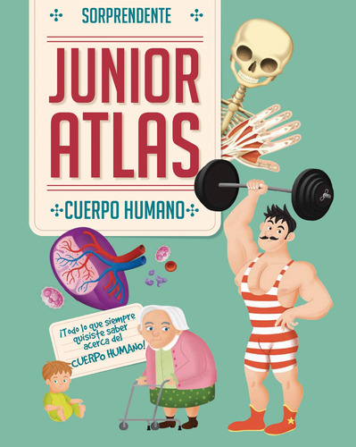 Sorprendente Junior Atlas: Cuerpo Humano, de Varios autores. Editorial Silver Dolphin (en español), tapa dura en español, 2017