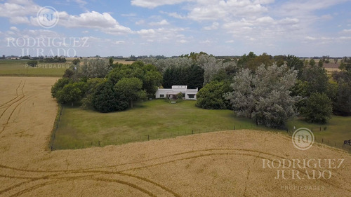 Campo En Venta San Antonio De Areco 19ha Con Casa Ppal Y Secundaria