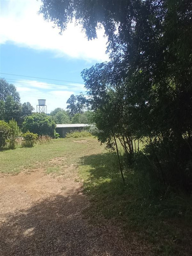 Imagen 8 de 30 de Agrícola Orilla Asfalto Con 5 Hectáreas En Venta En Cunco