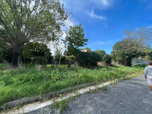 Imagen 6 de 10 de Lote En Venta, Calle 480 E/135 Y 135 Bis, Gorina