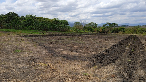 Imagen 1 de 14 de ¡venta! Lote De Terreno En Cúa