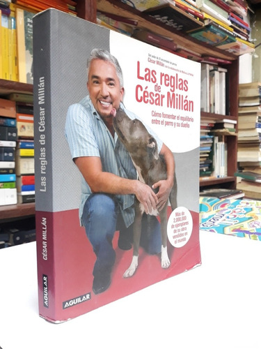 Las Reglas De César Millán 