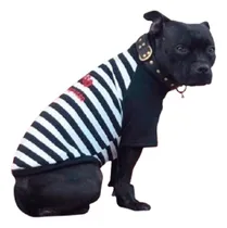 Comprar Remeras Ropa Para Perros Y Gatos   Grosso  Grandes