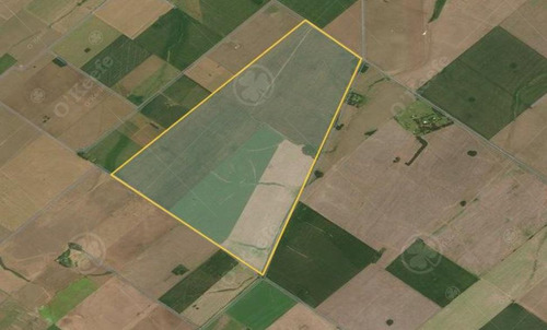 Imagen 9 de 19 de San Pedro 330 Has - 100 % Agrícolas - Financiado / Oportunidad !