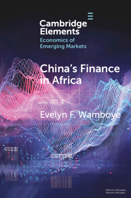 Libro China's Finance In Africa: What And How Much? - Wam...