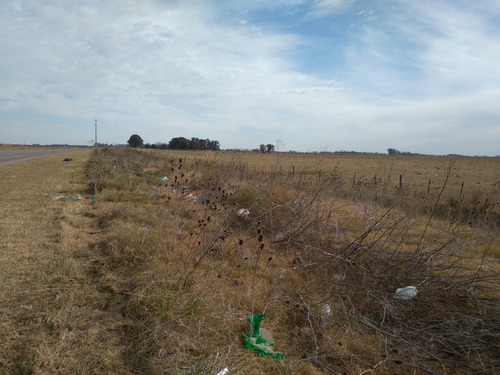 Imagen 2 de 7 de Venta De Campo De 48há En San Vicente