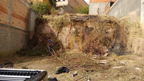 Imagem 3 de 4 de Terreno À Venda, 264 M² Por R$ 240.000,00 - Jardim São Paulo - São Paulo/sp - Te0008