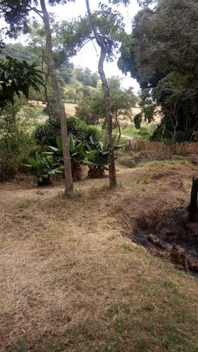Imagem 4 de 14 de Chácara Com 6 Comodos E Banheiro