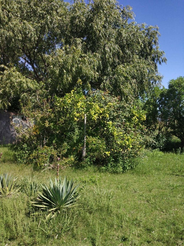 Vendo Chacrita Con Casa A Reciclar Lindos Árboles Antiguos!!