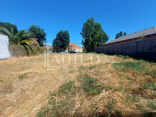 Terreno En Calle Gabriela Mistral (71503)
