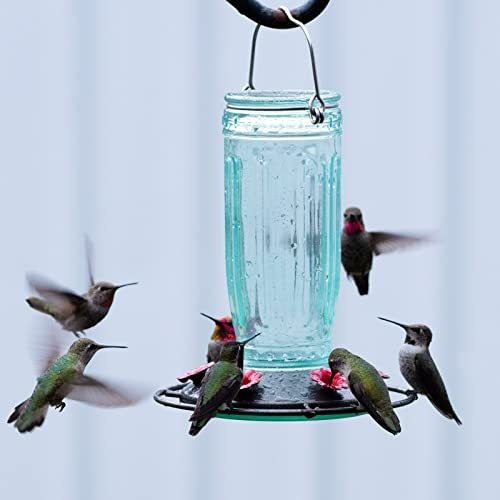 Bebedero Para Colibri Botella De Vidrio + Foso De Hormigas V