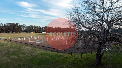 Imagen 3 de 17 de Venta Lote | Chacras San Andres | Villa Ruiz | Carlos Keen | Uf 216