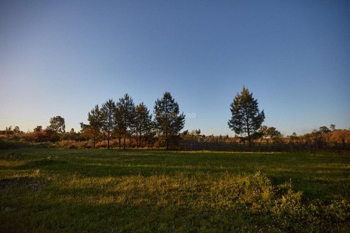 Chacra En Venta | Paraje Las Piedritas