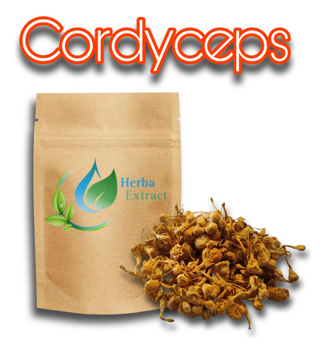 Hongo Cordyceps Entero Deshidratado 100 Gramos