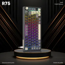 Comprar Teclado mecánico Rk Royal Kludge R75 Phantom español, 75% tamaño, cableado, retroiluminación RGB, perilla de volumen, switches Silver intercambiables en caliente.